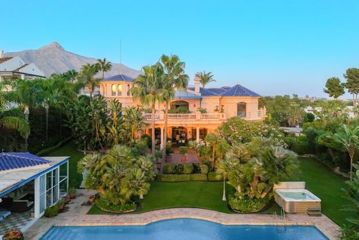 Maison de luxe à vendre à Nueva Andalucia, 6 900 000 €, Photo 2