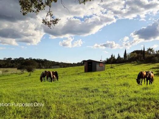 Maison de luxe à vendre à Ourique, 675 000 €, Photo 7