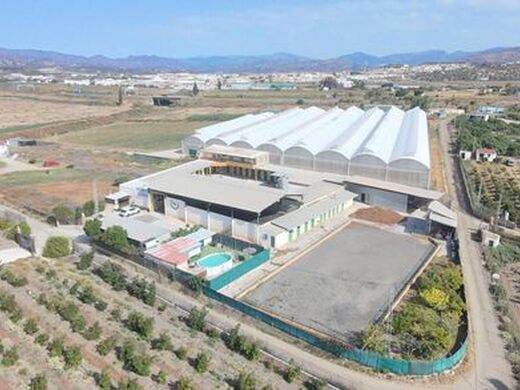Maison de luxe à vendre à Vélez-Málaga, 890 000 €, Photo 5