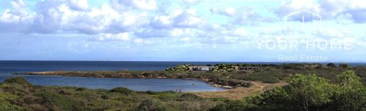 Maison de luxe à vendre à Stintino, 5 500 000 €, Photo 4