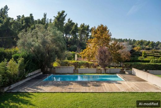 Maison de luxe à vendre à Saní, 490 000 €, Photo 2