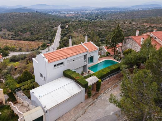 Maison de luxe à vendre à Kallitechnoúpoli, 850 000 €, Photo 3