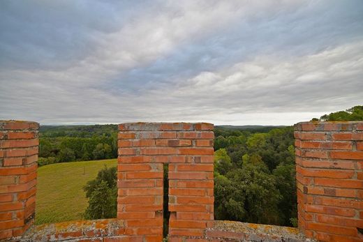 Maison de luxe à vendre à Flaçà, 3 000 000 €, Photo 2