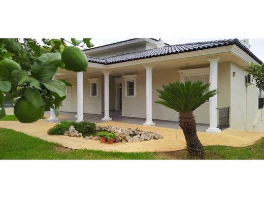 Maison de luxe à vendre à Picassent, 740 000 €, Photo 3