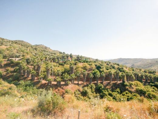 Luxury House for sale in Monda, 545 000 €, Photo 2