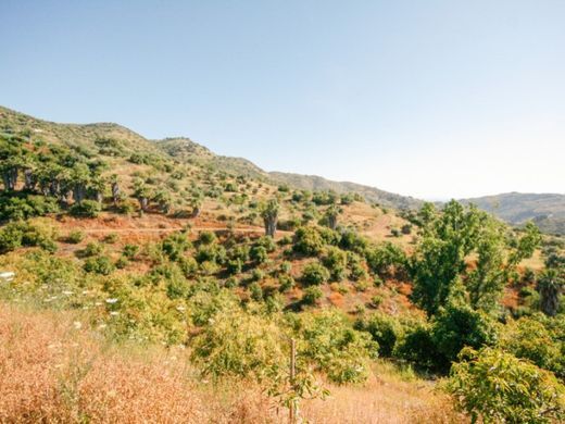 Luxury House for sale in Monda, 545 000 €, Photo 5