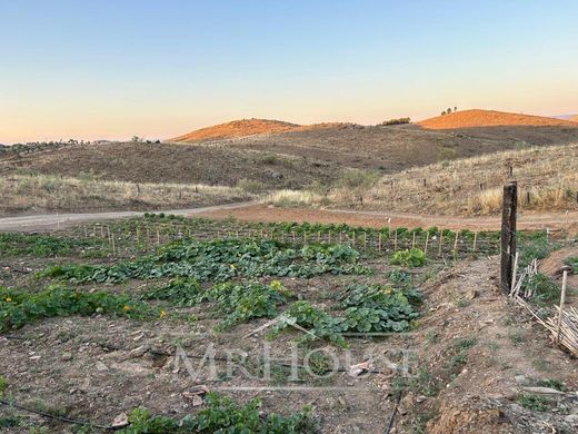 Luxury House for sale in Bubierca, 3 999 000 €, Photo 3