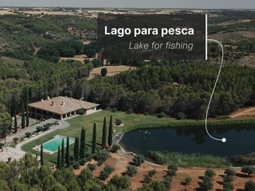 Maison de luxe à vendre à Brea de Tajo, 7 500 000 €, Photo 4