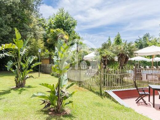 Maison de luxe à vendre à Massa, 9 500 000 €, Photo 5