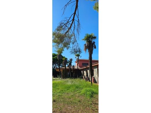 Maison de luxe à vendre à Vilallonga Del Camp, 420 000 €, Photo 5