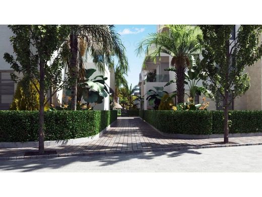 Luxury Apartment for sale in Torre-Pacheco, 485 900 €, Photo 3