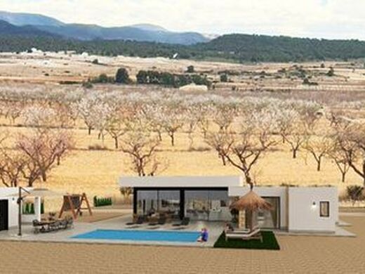 Luxury House for sale in Pinoso, 595 000 €, Photo 3
