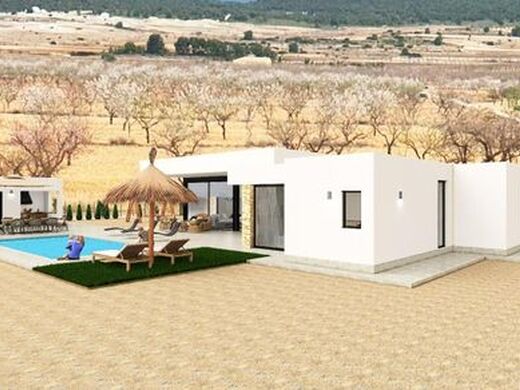 Luxury House for sale in Pinoso, 595 000 €, Photo 4