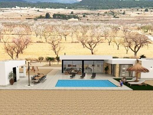 Luxury House for sale in Pinoso, 595 000 €, Photo 5