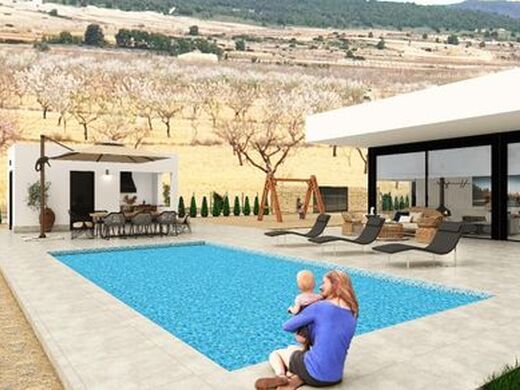 Luxury House for sale in Pinoso, 595 000 €, Photo 6