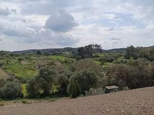 Maison de luxe à vendre à Montuïri, 7 000 000 €, Photo 4