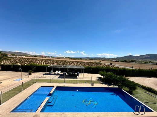 Luxury House for sale in Yecla, 499 000 €, Photo 2