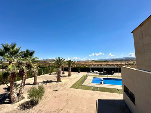 Luxury House for sale in Yecla, 499 000 €, Photo 3