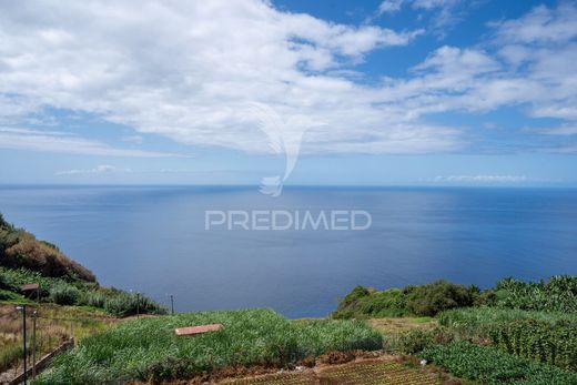Maison de luxe à vendre à Ponta Do Sol, 1 300 000 €, Photo 5