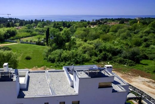 Maison de luxe à vendre à Porec, 1 050 000 €, Photo 7