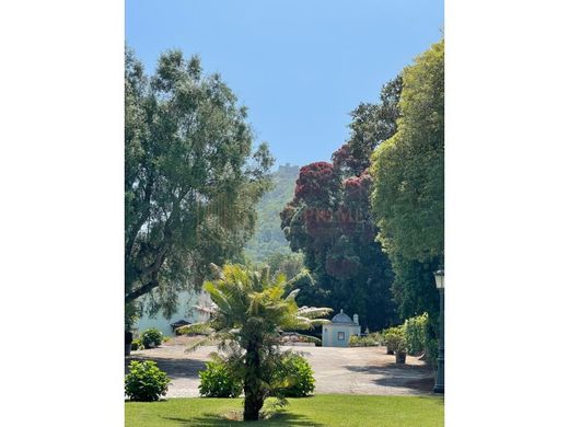Maison de luxe à vendre à Sintra, 7 600 000 €, Photo 6