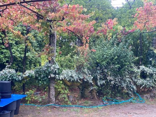 Maison de luxe à vendre à Arcos de Valdevez, 900 000 €, Photo 6