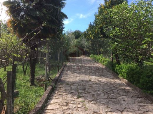 Maison de luxe à vendre à Santarém, 720 000 €, Photo 5