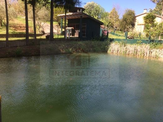 Maison de luxe à vendre à Santarém, 720 000 €, Photo 6