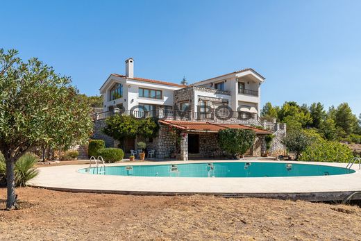 Luxury House for sale in Markópoulo Oropoú, 1 300 000 €, Photo 1