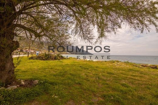 Maison de luxe à vendre à Zagorá, 370 000 €, Photo 6