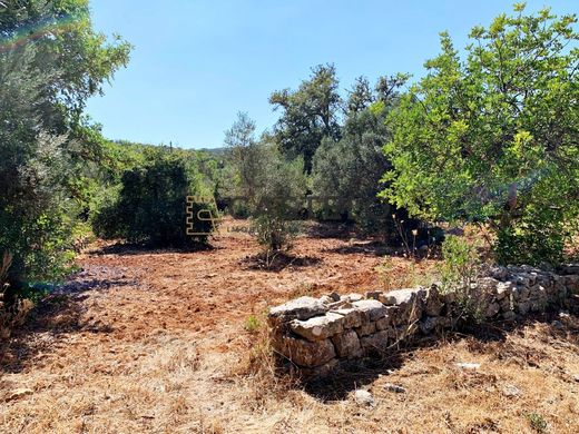 Luxury House for sale in Faro, 420 000 €, Photo 4