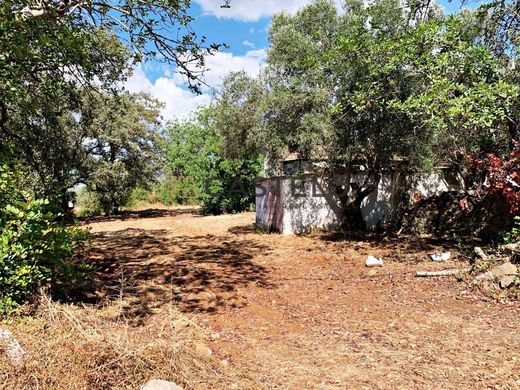 Luxury House for sale in Faro, 420 000 €, Photo 6