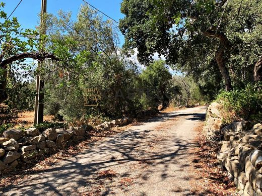 Luxury House for sale in Faro, 420 000 €, Photo 7