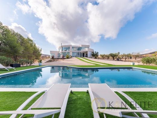 Luxury House for sale in Petrel, 1 475 000 €, Photo 3