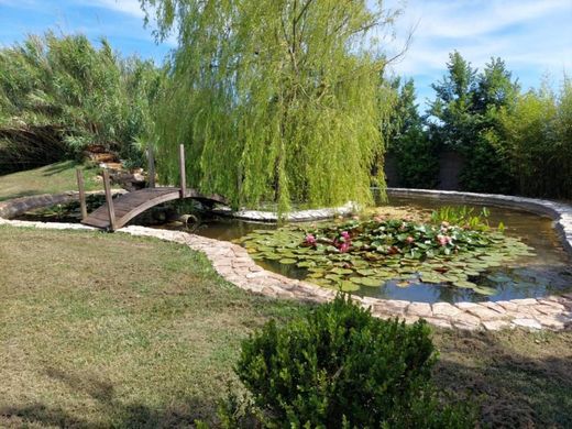 Luxury House for sale in Cascina, 950 000 €, Photo 5