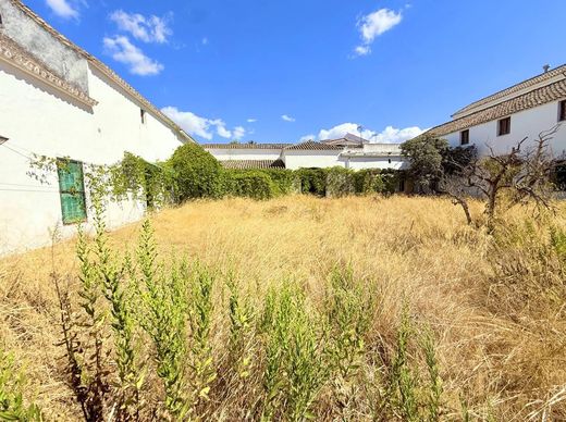 Maison de luxe à vendre à Arcos de La Frontera, 450 000 €, Photo 6