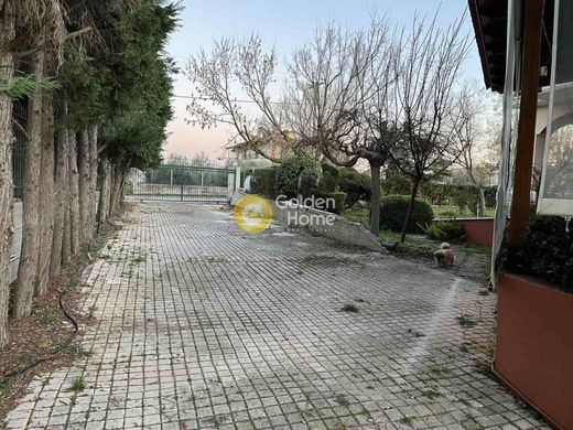 Maison de luxe à vendre à Chalkída, 2 500 000 €, Photo 6