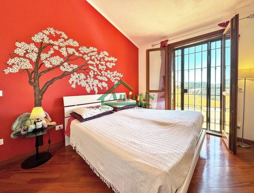 Maison de luxe à vendre à Imperia, 890 000 €, Photo 4