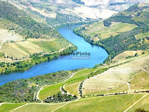 Maison de luxe à vendre à Vila Nova de Foz Côa, 9 500 000 €, Photo 5