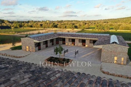Maison de luxe à vendre à Llucmajor, 25 000 000 €, Photo 2