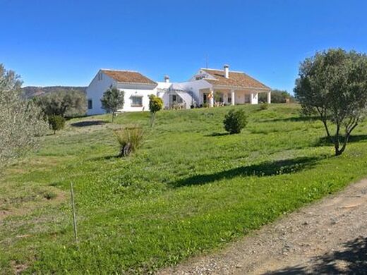 Maison de luxe à vendre à Elviria, 3 200 000 €, Photo 2