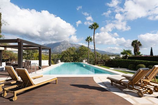 Maison de luxe à vendre à Nueva Andalucia, 2 995 000 €, Photo 4