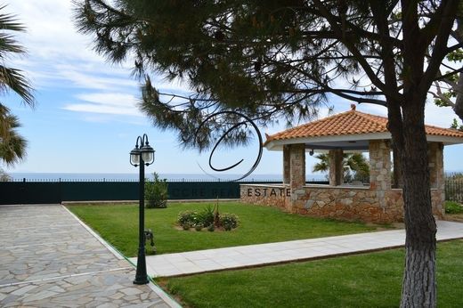 Maison de luxe à vendre à Marathónas, 1 800 000 €, Photo 3