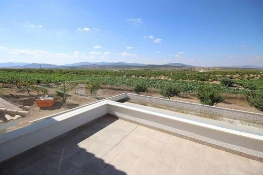 Luxury House for sale in Pinoso, 491 000 €, Photo 3