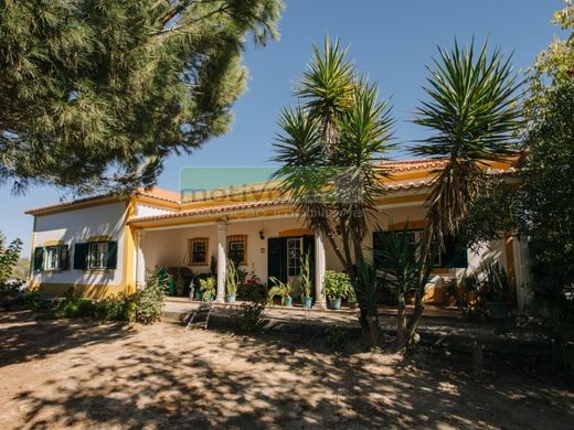 Maison de luxe à vendre à Coruche, 485 000 €, Photo 2