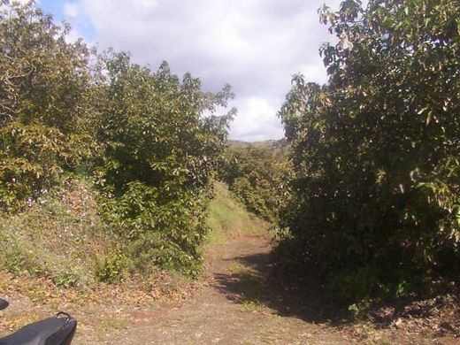 Luxury House for sale in Vélez-Málaga, 2 500 000 €, Photo 3