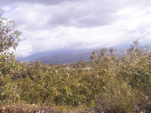 Luxury House for sale in Vélez-Málaga, 2 500 000 €, Photo 4