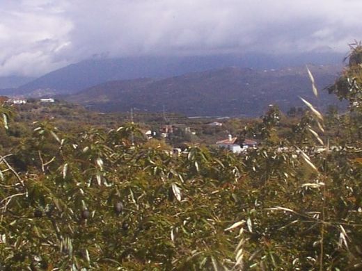 Luxury House for sale in Vélez-Málaga, 2 500 000 €, Photo 5