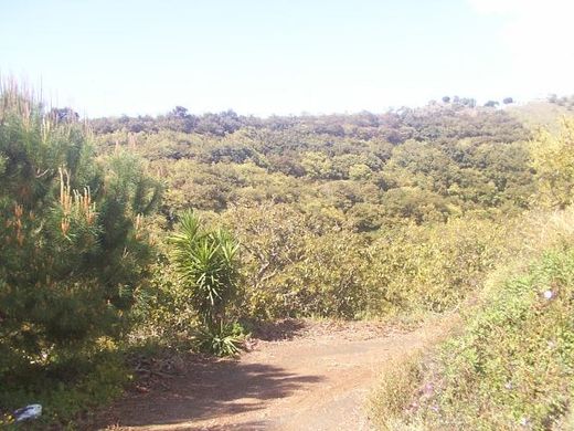 Luxury House for sale in Vélez-Málaga, 2 500 000 €, Photo 7