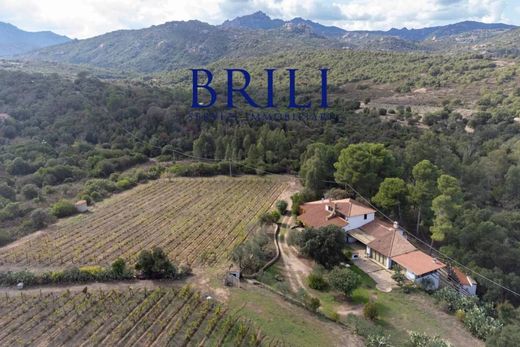 Luxury House for sale in Olbia, 1 100 000 €, Photo 6